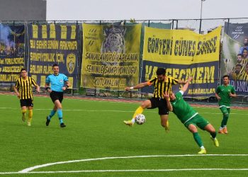 Aliağaspor FK 3 puanı tek golle aldı