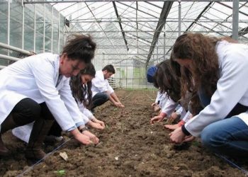 “Bursa’da tarıma yeterli önem verilmiyor”