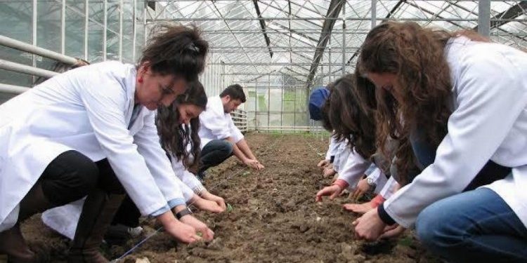 “Bursa’da tarıma yeterli önem verilmiyor”