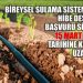 Hibe desteği başvuru süresi uzatıldı