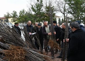 Konya’dan 50 milyon liralık tarımsal destek