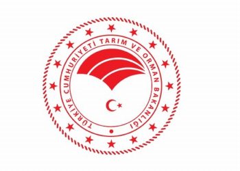 Tarım ve Orman Bakanlığı: “Buğday arzında sıkıntı yaşanmayacak”