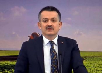 Tarımsal destekler hesaplara yatırılıyor