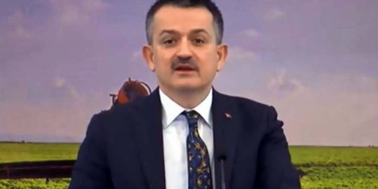 Tarımsal destekler hesaplara yatırılıyor