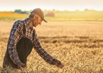 Tarımsal endeks yıllık yüzde 45,61 arttı