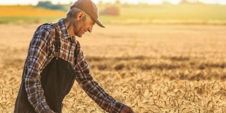 Tarımsal endeks yıllık yüzde 45,61 arttı