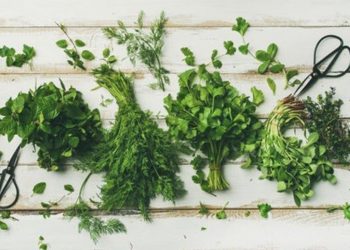 Uzmanından ağız kokusuna karşı tavsiyeler