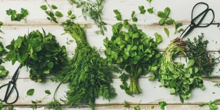 Uzmanından ağız kokusuna karşı tavsiyeler