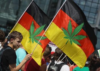 Almanya’da esrara ‘denetimli serbestlik’ testi