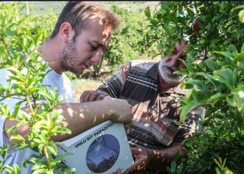 Çiftçilere böcek desteği