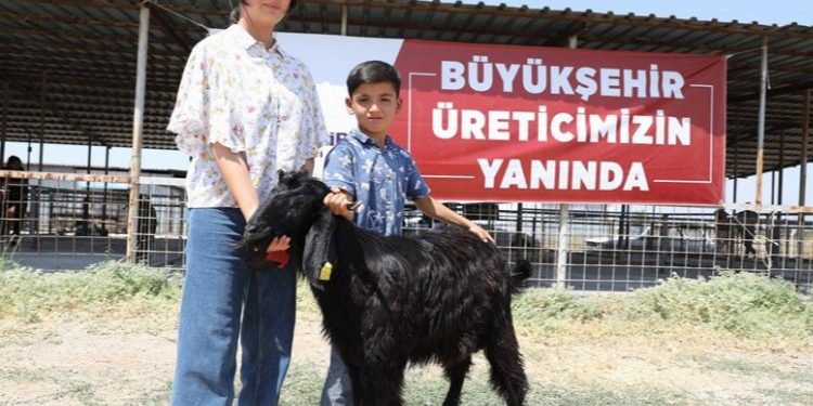 Hayvan üreticilerinin hibe sevinci