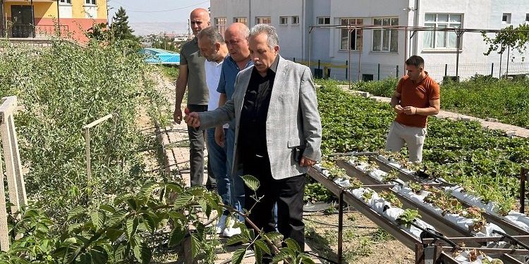 Kayseri Talas’ta örnek deneme bahçeleri