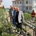 Kayseri Talas’ta örnek deneme bahçeleri