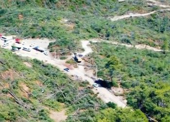 Muğla’dan ‘Akbelen’ açıklaması