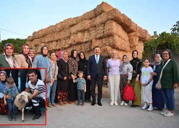 Tarladaki atıklar kuzuya dönüşüyor