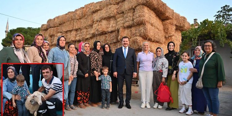 Tarladaki atıklar kuzuya dönüşüyor