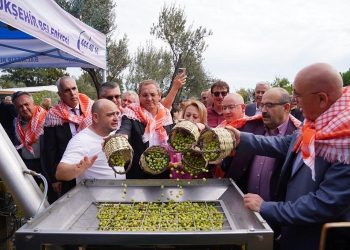Ayvalık’ta Hasat Festivali’nde zeytinyağı sıkım keyfi