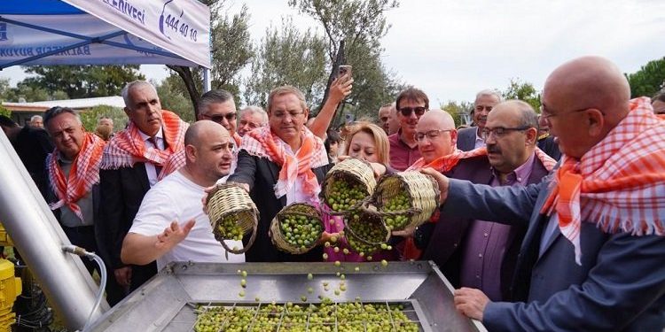 Ayvalık’ta Hasat Festivali’nde zeytinyağı sıkım keyfi