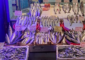Balığa kota geliyor! Fiyatlar dengelenecek