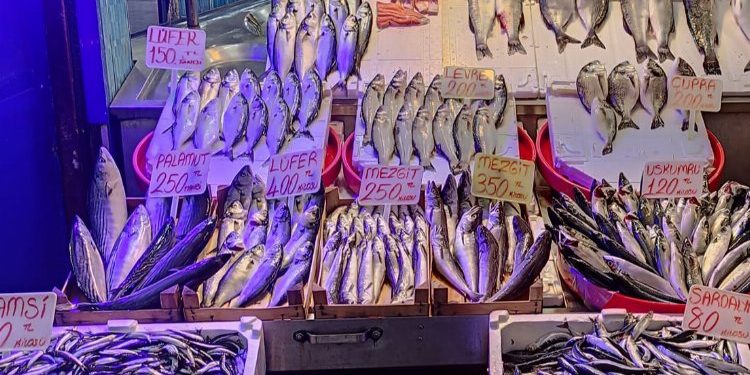 Balığa kota geliyor! Fiyatlar dengelenecek
