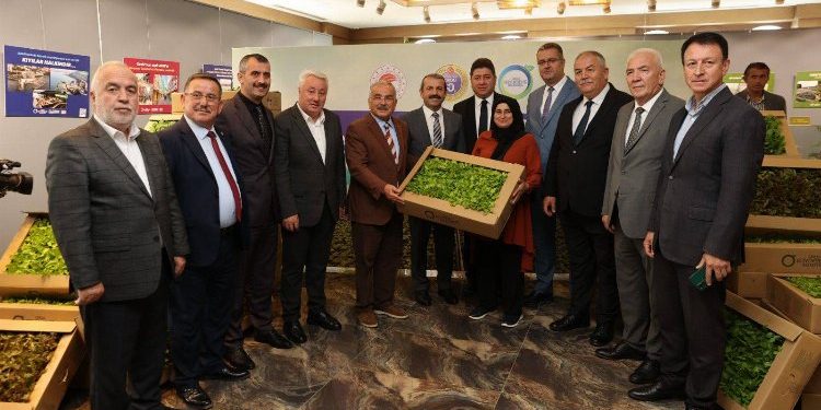 Belediye üretti, çiftçi dikecek
