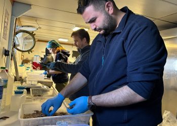 Biyoçeşitlilikte Ekim ayı araştırması tamam