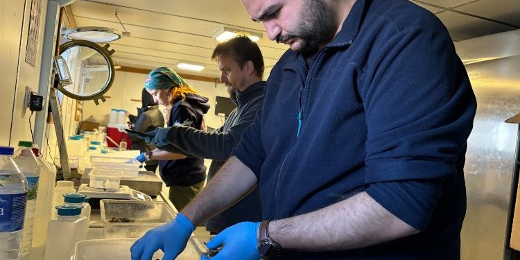 Biyoçeşitlilikte Ekim ayı araştırması tamam