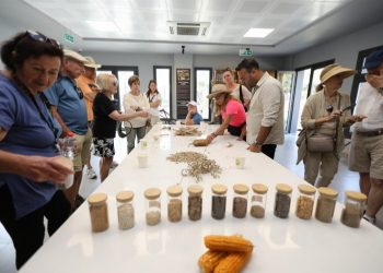 Efes Selçuk’ta agro turizm atağı