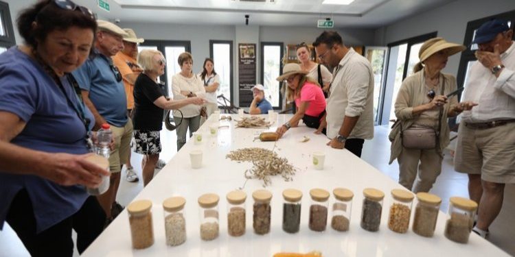 Efes Selçuk’ta agro turizm atağı