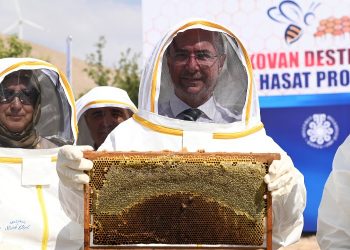 Konya Selçuklu’da arılı kovan desteği