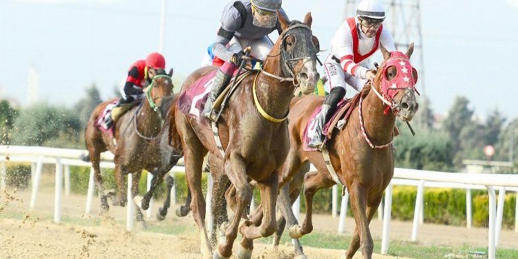 AGSYD Koşusu’nda zafer ALTINTEPE’nin!