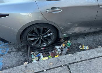 Amerika’da ‘Küçük Türkiye’nin çöp sorunu bitmedi!