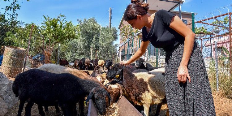 Köye tersine göçü tetikledi