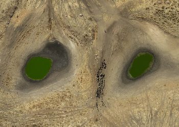 Küresel İklim Değişikliği’ni en iyi yansıtan kareler belli oldu