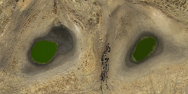 Küresel İklim Değişikliği’ni en iyi yansıtan kareler belli oldu