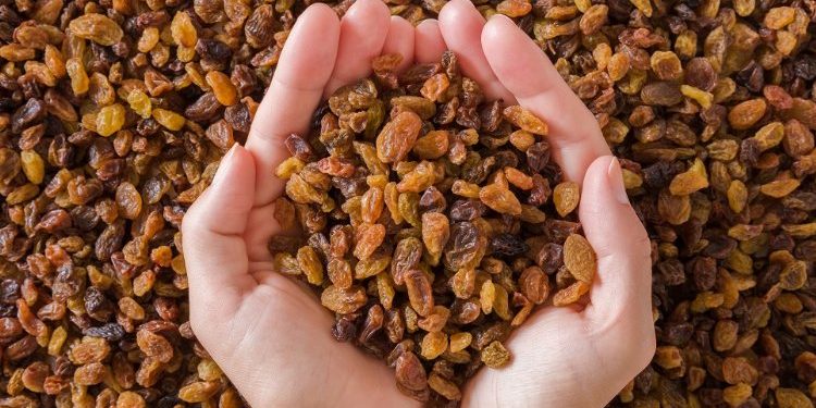 Türkiye kuru üzüm üretiminde açık ara dünya lideri